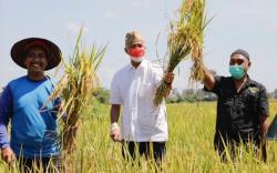 Ganjar Pranowo Janji Stabilkan Harga Bahan Pokok, Ini 4 Faktor yang Mempengaruhinya