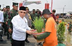 Wapres Ma'ruf Amin Dorong Optimalisasi Lahan Tidur untuk Pertanian