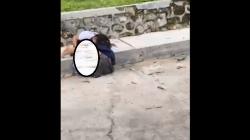 Viral Video 2 Remaja Perempuan Berkelahi Sengit hingga Berguling di Lantai