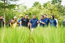 Wamen BUMN Tinjau Persiapan Program Smart Precision Farming Besutan Petrokimia Gresik