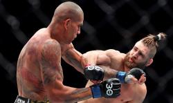 Hasil UFC 295: Alex Pereira Bikin KO Jiri Prochazka, Raih Sabuk Kelas Berat Ringan