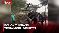 Mobil Tertimpa Pohon Tumbang saat Hujan Disertai Angin Kencang di Yogyakarta