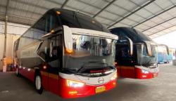 Duh! Pengusaha Bus Ngeluh Program Mudik Gratis Rugikan Usahanya