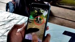 Viral Video Perundungan Terjadi di Cirebon, Korban Dijambak dan Dipukul <