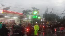 Pohon Tumbang Timpa 2 Mobil Sedang Melintas di Jalan Siliwangi Baleendah Bandung