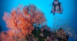 Surga Tersembunyi di Tondano, di Tengah Hutan Ada Mata Air Alami Dijadikan Tempat Snorkeling 