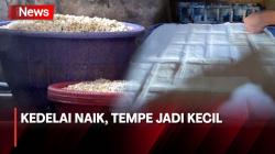 Harga Kedelai Meningkat, Perajin Tahu Tempe Memperkecil Ukuran