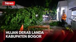 Kabupaten Bogor Dilanda Hujan Deras dan Angin Kencang, 6 Pohon Tumbang