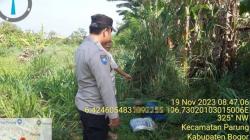 Geger, Pria Lansia Ditemukan Tewas di Lahan Kosong Parung