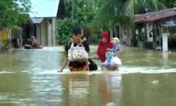 Banjir Kepung Aceh Barat, Ribuan Rumah Terendam hingga Ketinggian 1 Meter