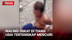 Detik-Detik Maling Tertangkap saat Bobol Rumah Warga di Cirebon