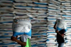  PT Pupuk Indonesia: Alokasi Pupuk Bersubsidi Nasional Melebihi Kapasitas<
