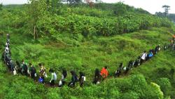  Peduli Lingkungan, Ribuan Mahasiswa Unnes Tanam 3.500 Bibit Pohon di Area Gunung Ledek
