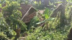 Tebing 30 Meter Longsor Timbun Rumah dan Jalan Desa di Cugenang Cianjur