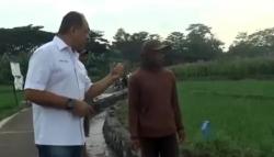 Bagikan 50 Ton Pupuk di Semarang, Ini Harapan Caleg Perindo Syafil Nasution ke Petani <