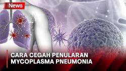 Kasus Mycoplasma Pneumonia Ditemukan di RI, Dirjen P2P Kemenkes Beri Pesan Ini