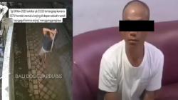 Viral Pencuri Babi di Badung Ditangkap, Ternyata Penganiaya Anjing Warga yang Diburu Netizen<