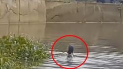 Viral Perempuan Nekat Loncat ke Situ Wanaherang Bogor, Berhasil Ditolong Warga<