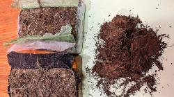 Polisi Tangkap 2 Pengedar Narkoba di Cimahi dan KBB, 3 Kg Ganja Diamankan<