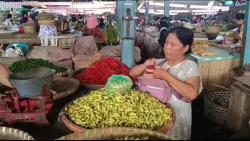 Harga Cabai di Salatiga Semakin Pedas jelang Nataru, Tembus Rp125.000 per Kg<