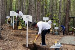 Presiden Joko Widodo Kunjungi Pembangunan Miniatur Hutan Hujan Tropis di Ibu Kota Nusantara 