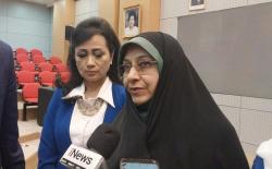 Wapres Iran Ajak Iwapi Temui Pengusaha Perempuan di Negaranya