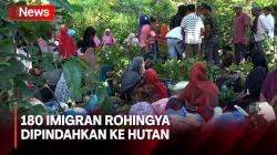 180 Imigran Rohingya Diusir Warga Pidie, Dipindahkan ke dalam Hutan