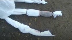 Teror Pocong Kecil Resahkan Warga Pasuruan, Diletakkan OTK Malam Hari di Depan Pintu Rumah