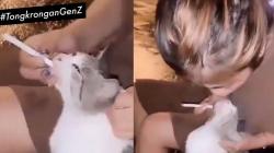 Viral Gadis Ini Sengaja Masukkan Asap Rokok ke Mulut Kucing, Netizen Ngamuk