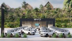 Berhasil Pepet Tesla, BYD Bagi-Bagi Bonus Rp4,3 Triliun ke Dealer