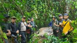 Gajah Usia 20 Tahun Mati Ditembak di Kawasan HPT Mukomuko, Diduga Korban Perburuan<