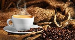 38 Minuman Kopi Paling Top di Dunia, Kopi Luwak dan Kopi Tubruk Indonesia Masuk?