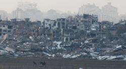 Pejabat Intelijen AS Mundur karena Perang Gaza: Saya Malu!