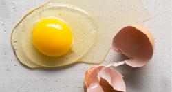 Makan Telur Mentah atau Matang, Mana Protein yang Paling Banyak Terserap Tubuh?