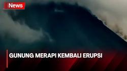 Terekam Kamera Pengawas, Gunung Merapi Kembali Erupsi Luncurkan Awan Panas 1.500 Meter