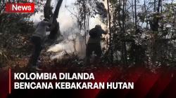 Pemerintah Kolombia Mengumumkan Bencana Kebakaran Hutan diluar Ibu Kota Bogota