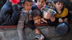 Ya Allah, Pengungsi Gaza mulai Makan Rumput