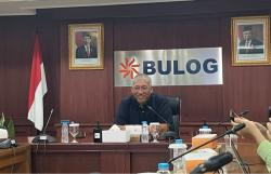 Bos Bulog Ungkap Penyebab Pasokan Beras Langka, Ternyata gegara Hal Ini