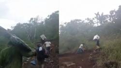Dramatis, Petugas Bawa Logistik Pemilu Mendaki Gunung Lewati Lembah di Ende NTT