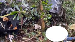 Helikopter Hilang Kontak di Halmahera Ditemukan, Kondisi Hancur dan 3 Awaknya Tewas