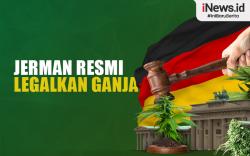 Infografis Jerman Resmi Legalkan Ganja