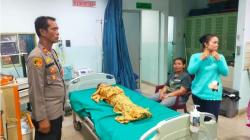 Bocah 5 Tahun Hanyut di Sungai Bah Bolon, Sempat Ditolong Akhirnya Meninggal<