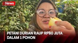 Petani di Banjarnegara Mampu Hasilkan 20 Macam Jenis Durian Super dari 1 Pohon Durian