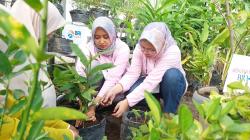 BRI Perkuat Komitmen Terapkan Sustainable Finance di Indonesia