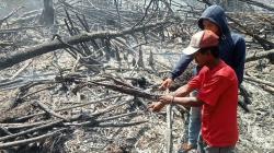Polisi Tangkap Petani di Rokan Hilir, Bakar Lahan untuk Ditanami Sawit