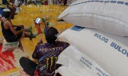 Bulog Siapkan Strategi untuk Stabilkan Harga Beras Premium, Apa Itu?