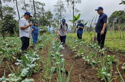 Astra melalui YDBA Kembangkan UMKM Pertanian di Puncak Dua Bogor