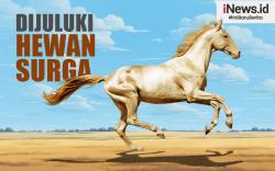 Infografis Akhal-Teke, Kuda Glowing yang Dijuluki Hewan Surga 