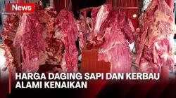 Pasokan Jarang, Harga Daging Sapi dan Kerbau Alami Kenaikan Jelang Ramadhan