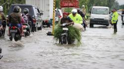 Jalan Utama Sumenep Banjir, Lalu Lintas Macet Sejumlah Motor Mogok